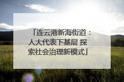 连云港新海街道：人大代表下基层 探索社会治理新模式