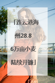 连云港海州28.86万亩小麦陆续开镰