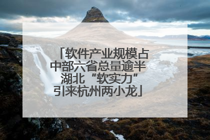 软件产业规模占中部六省总量逾半 湖北“软实力”引来杭州两小龙