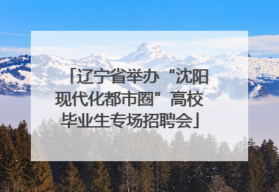 辽宁省举办“沈阳现代化都市圈”高校毕业生专场招聘会
