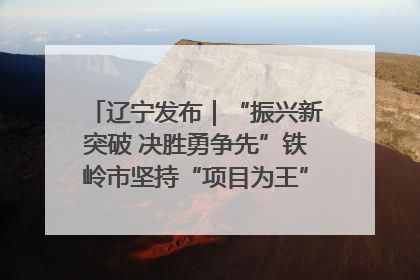 辽宁发布｜“振兴新突破 决胜勇争先”铁岭市坚持“项目为王”推进经济高质量发展