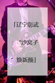 辽宁彰武：“沙窝子”焕新颜