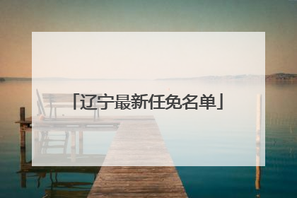 辽宁最新任免名单
