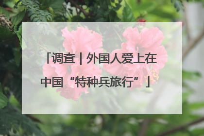 调查｜外国人爱上在中国“特种兵旅行”