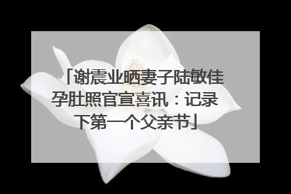 谢震业晒妻子陆敏佳孕肚照官宣喜讯：记录下第一个父亲节