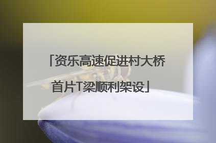 资乐高速促进村大桥首片T梁顺利架设