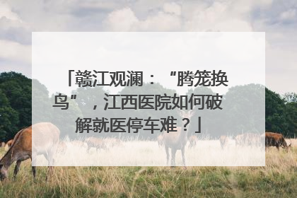 赣江观澜：“腾笼换鸟”，江西医院如何破解就医停车难？