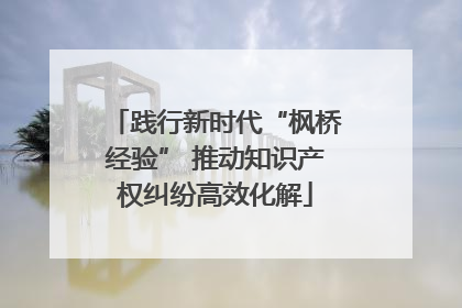 践行新时代“枫桥经验” 推动知识产权纠纷高效化解