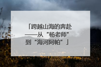 跨越山海的奔赴——从“杨老师”到“海河阿帕”