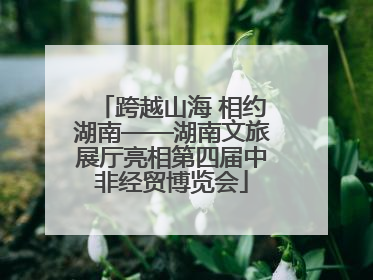 跨越山海 相约湖南——湖南文旅展厅亮相第四届中非经贸博览会
