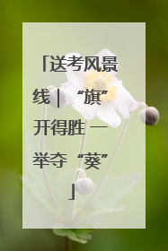 送考风景线｜“旗”开得胜 一举夺“葵”