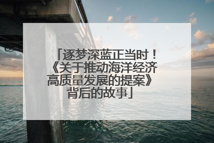 逐梦深蓝正当时！《关于推动海洋经济高质量发展的提案》背后的故事