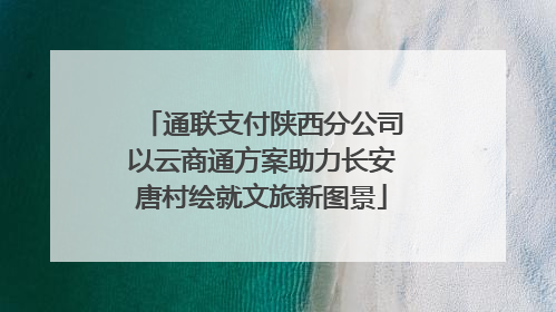 通联支付陕西分公司以云商通方案助力长安唐村绘就文旅新图景