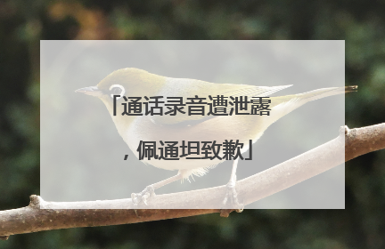 通话录音遭泄露，佩通坦致歉