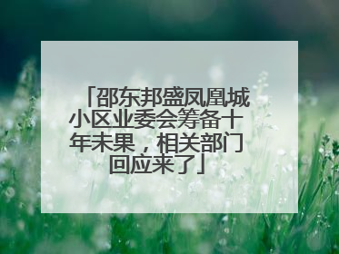 邵东邦盛凤凰城小区业委会筹备十年未果，相关部门回应来了