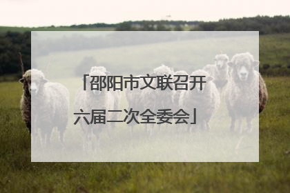 邵阳市文联召开六届二次全委会