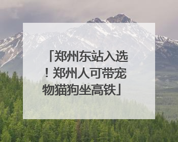 郑州东站入选！郑州人可带宠物猫狗坐高铁