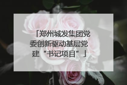 郑州城发集团党委创新驱动基层党建“书记项目”