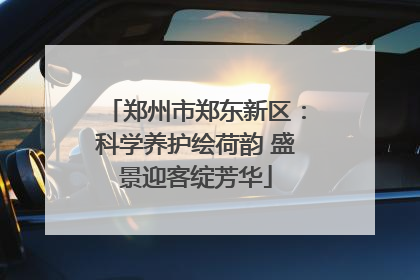 郑州市郑东新区：科学养护绘荷韵 盛景迎客绽芳华