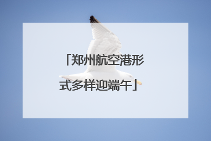 郑州航空港形式多样迎端午