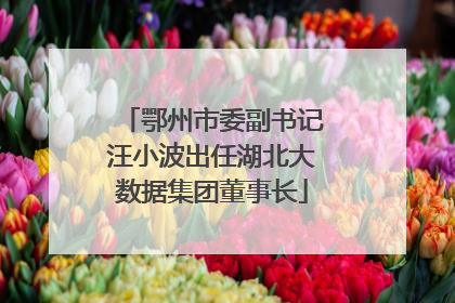 鄂州市委副书记汪小波出任湖北大数据集团董事长