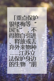 重点保护银缕梅等“国宝”，不得擅自引进、释放或丢弃外来物种……江苏立法保护身边的生物“朋友圈”