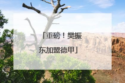 重磅！樊振东加盟德甲