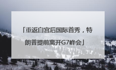 重返白宫后国际首秀，特朗普提前离开G7峰会