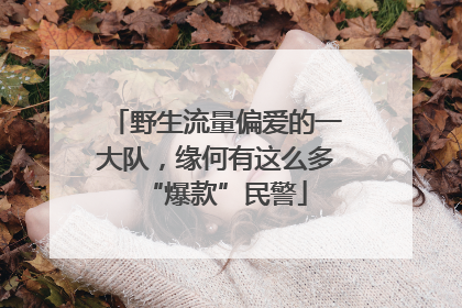 野生流量偏爱的一大队，缘何有这么多“爆款”民警