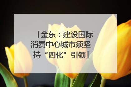 金东：建设国际消费中心城市须坚持“四化”引领