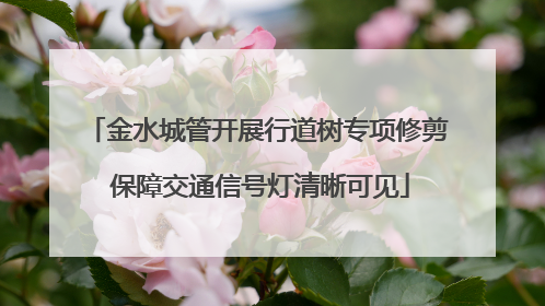 金水城管开展行道树专项修剪 保障交通信号灯清晰可见