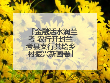金融活水润兰考 农行开封兰考县支行共绘乡村振兴新画卷