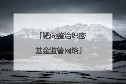 靶向整治织密基金监管网络
