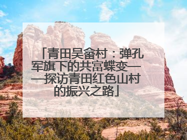 青田吴畲村：弹孔军旗下的共富蝶变——探访青田红色山村的振兴之路