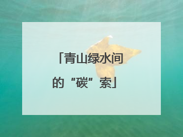 青山绿水间的“碳”索