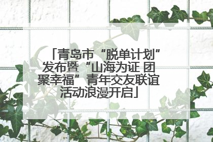 青岛市“脱单计划”发布暨“山海为证 团聚幸福”青年交友联谊活动浪漫开启