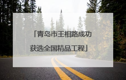 青岛市王相路成功获选全国精品工程