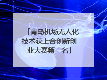 青岛机场无人化技术获上合创新创业大赛第一名