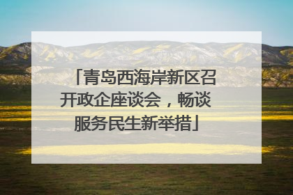 青岛西海岸新区召开政企座谈会,畅谈服务民生新举措