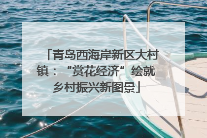 青岛西海岸新区大村镇：“赏花经济”绘就乡村振兴新图景