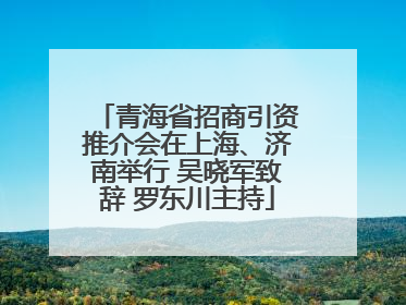 青海省招商引资推介会在上海、济南举行 吴晓军致辞 罗东川主持