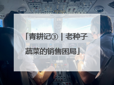 青耕记③｜老种子蔬菜的销售困局