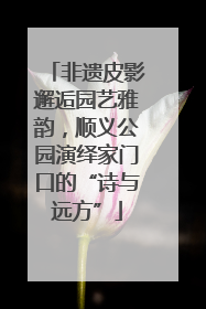 非遗皮影邂逅园艺雅韵，顺义公园演绎家门口的“诗与远方”