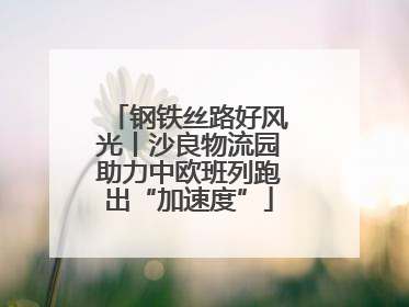 钢铁丝路好风光丨沙良物流园助力中欧班列跑出“加速度”