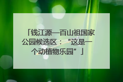 钱江源—百山祖国家公园候选区：“这是一个动植物乐园”