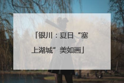 银川：夏日“塞上湖城”美如画