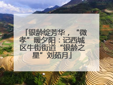 银龄绽芳华，“微孝”暖夕阳：记西城区牛街街道“银龄之星”刘茹月