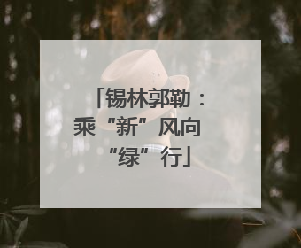 锡林郭勒：乘“新”风向“绿”行
