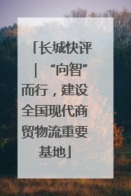 长城快评｜“向智”而行，建设全国现代商贸物流重要基地