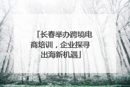 长春举办跨境电商培训，企业探寻出海新机遇